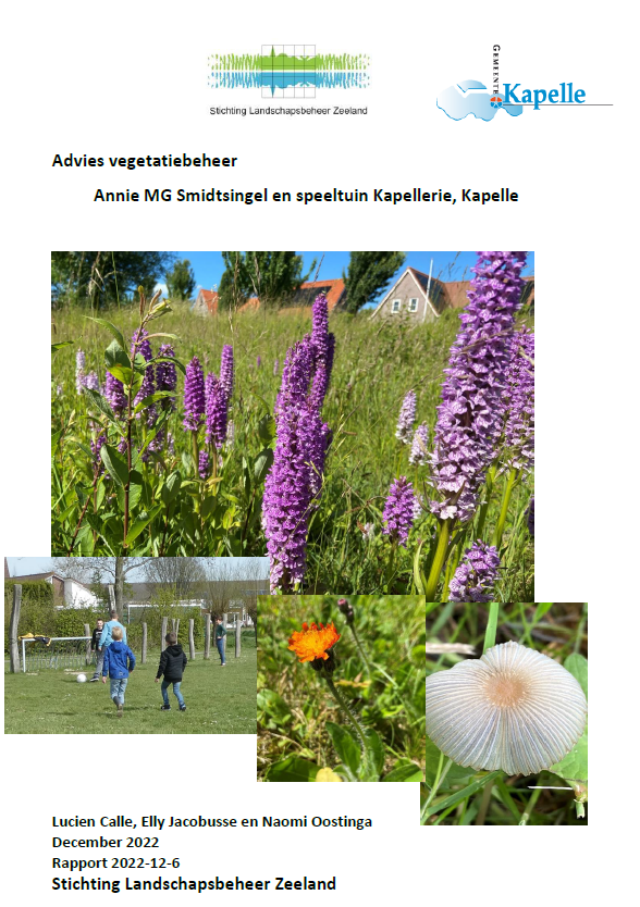 Advies vegetatiebeheer Annie MG Smidtsingel en speeltuin Kapellerie, Kapelle 2022