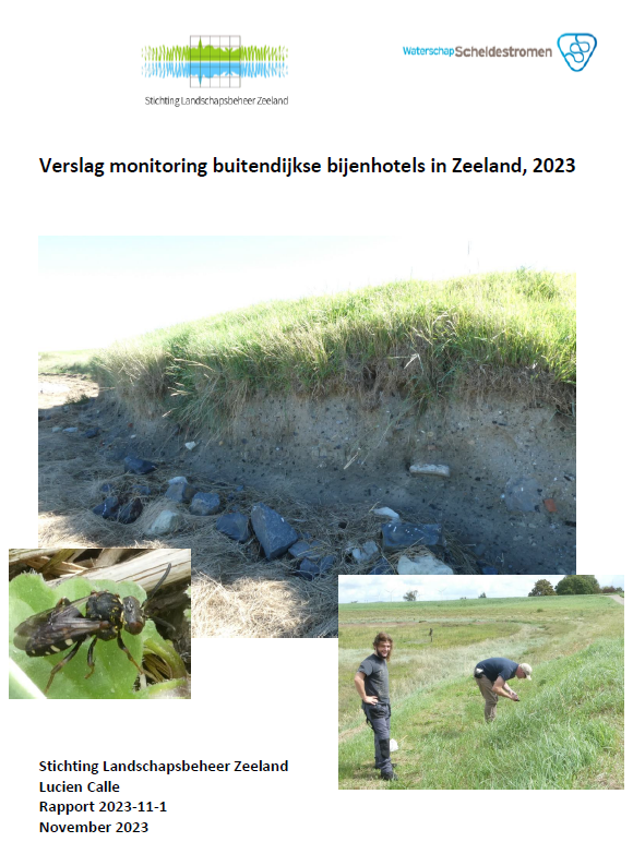 Verslag monitoring buitendijkse bijenhotels in Zeeland, 2023